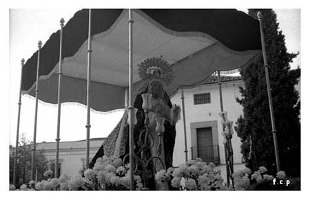 8dolores01w1982