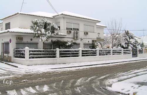 paisa12