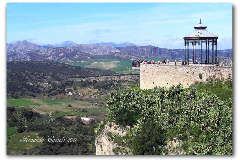 ronda04w