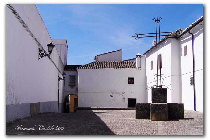 ronda13w