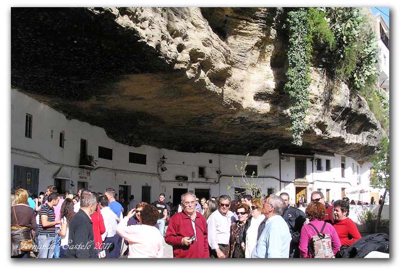ronda24w